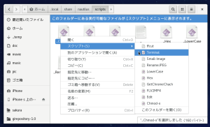 img/nautilus320.png